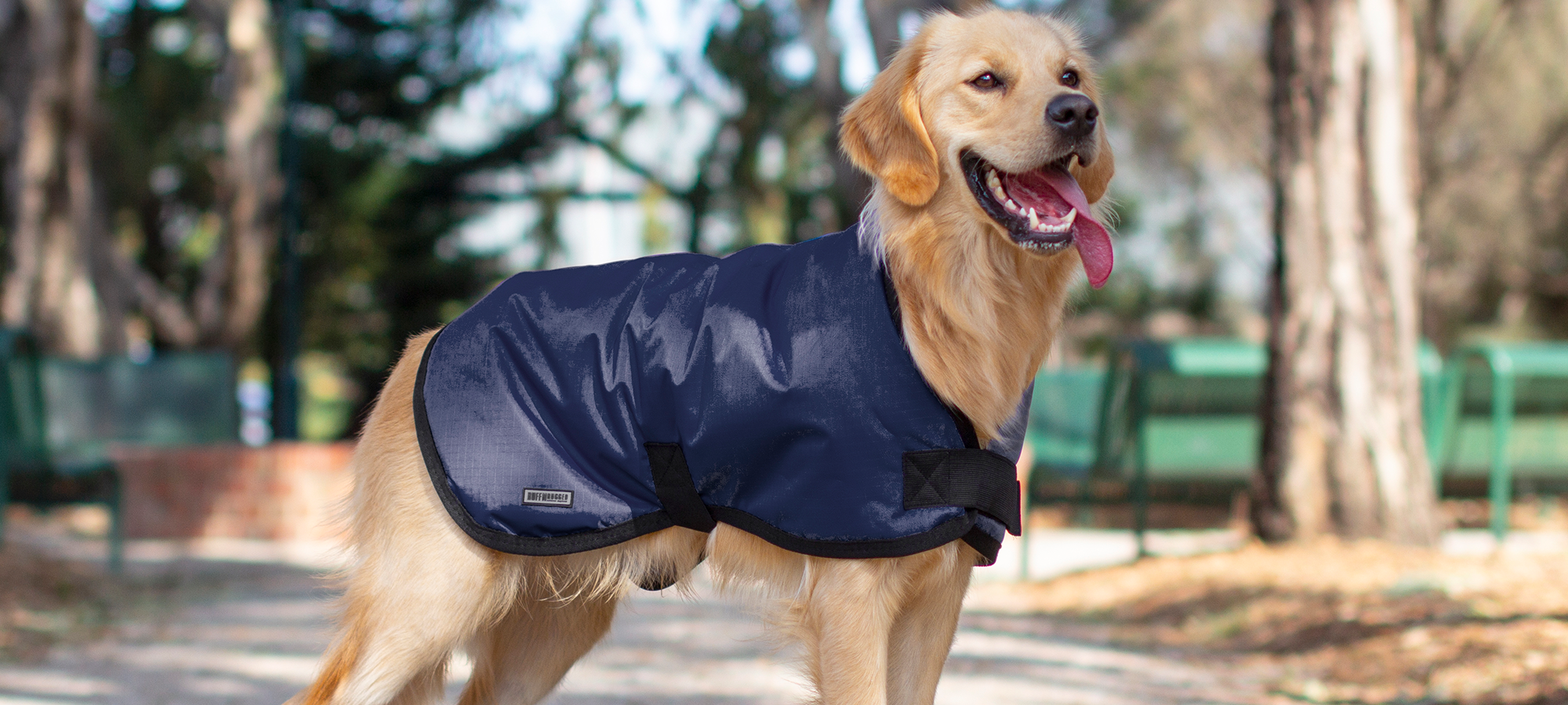 petstock dog jackets