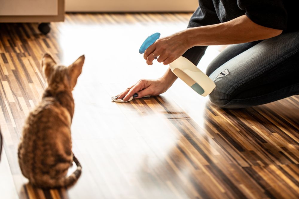 Woman cleans up mess on ground with spray and wipe, with small cat looking on.