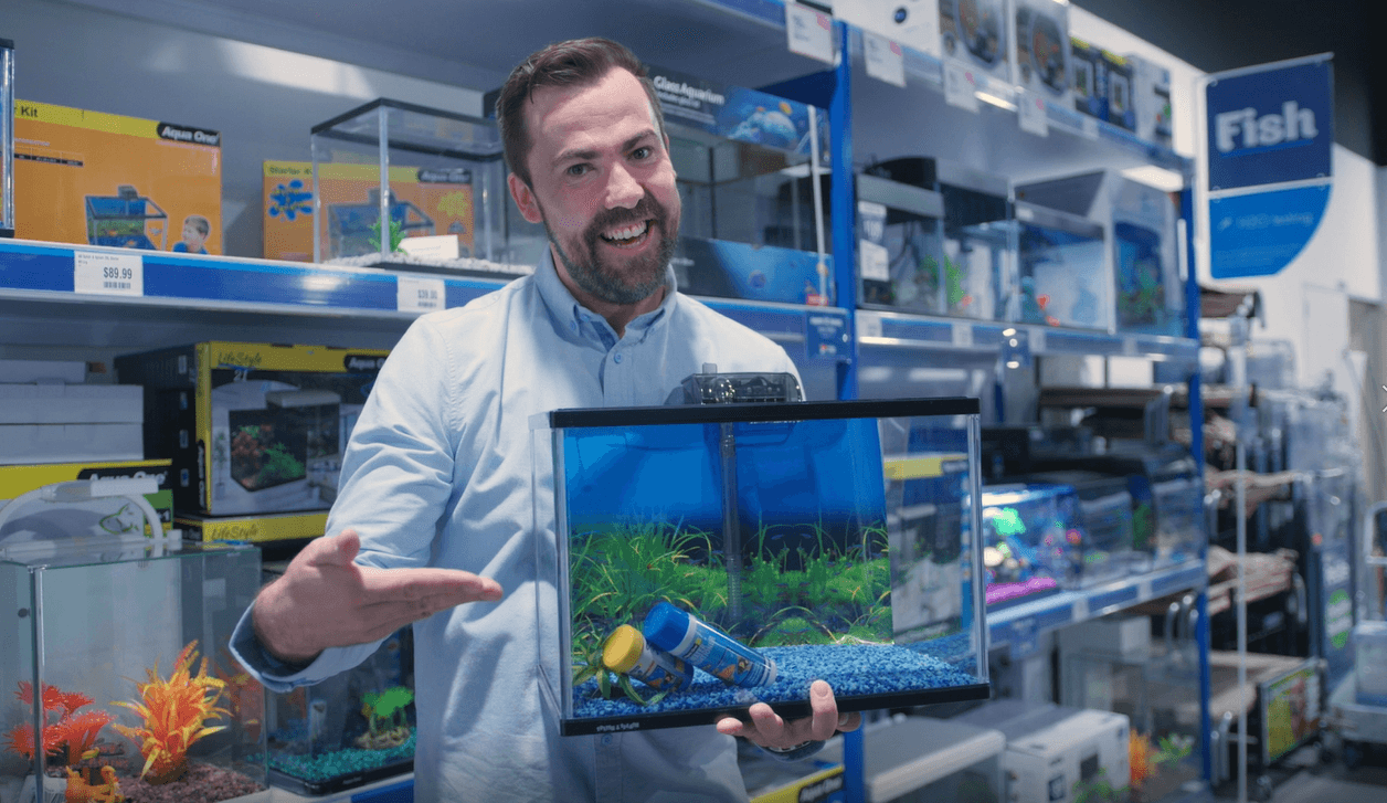 How to clean your fish tank Petstock NZ Blog