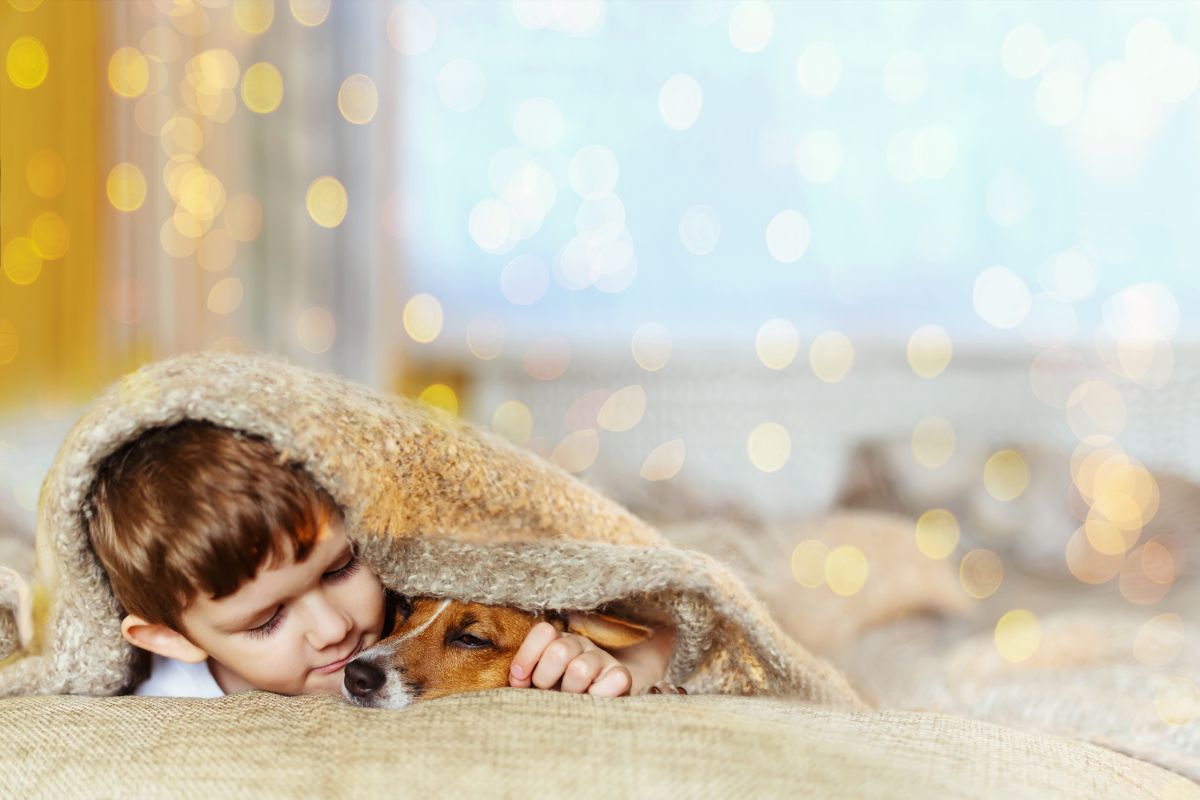 Young boy lays with Jack Russell dog under blanket
