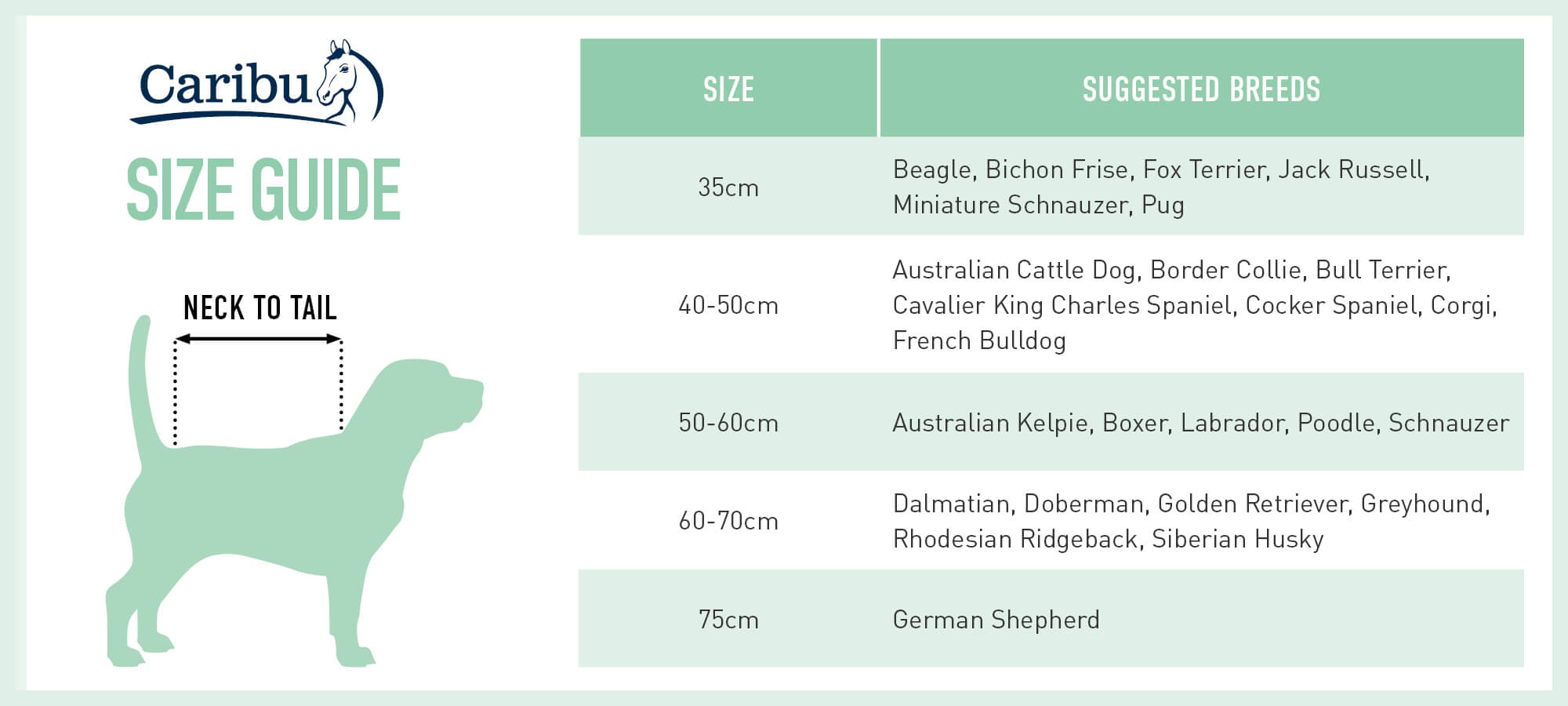 Understanding dog sizing charts and how to fit clothing - PETstock NZ Blog