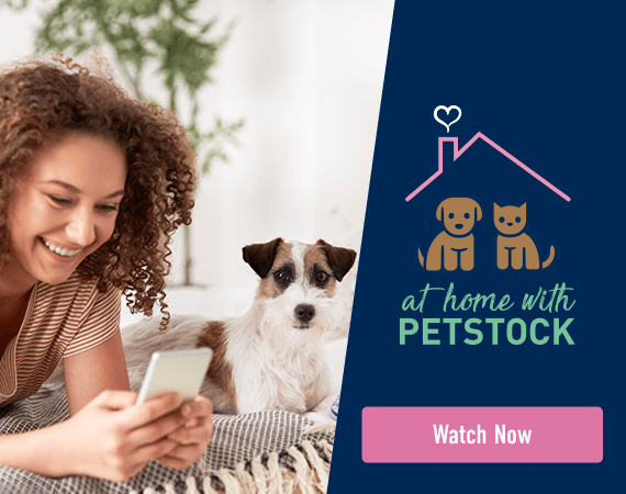 At Home With PETstock - Click here to learn more!