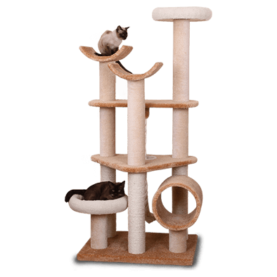 petstock cat scratcher