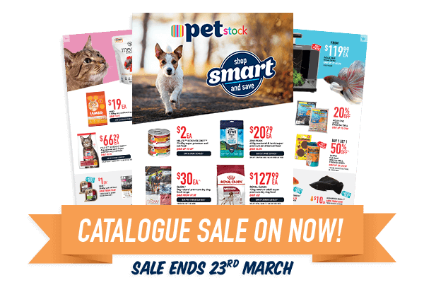 Nine holiday markets for all your gift giving needs Animal Charity Christmas Cards Nz - greeting cards near me