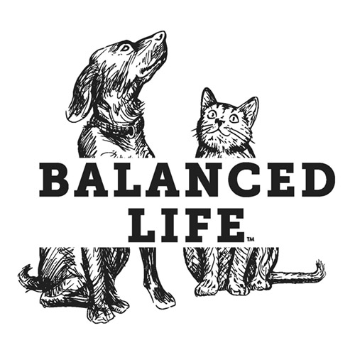 Balanced Life