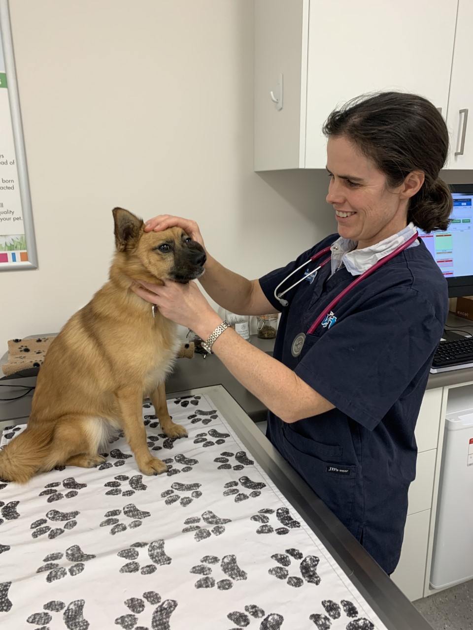 vets with afterpay near me