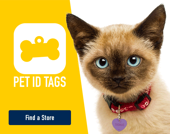 Pet ID Tags at PETstock - click here to find a store!