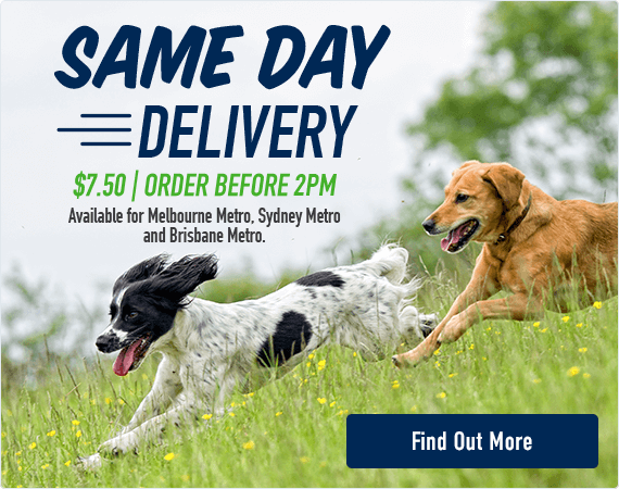 same day dog food delivery